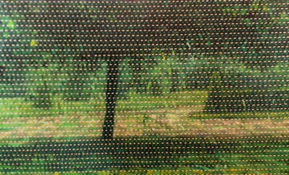 Luxembuergo Garden, 2020 Óleo sobre lona 70 x 116 cm